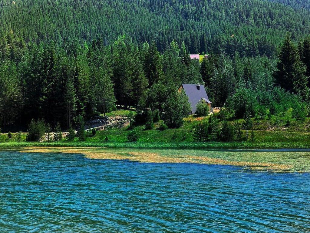 Zminica Lake House Žabljak Zewnętrze zdjęcie