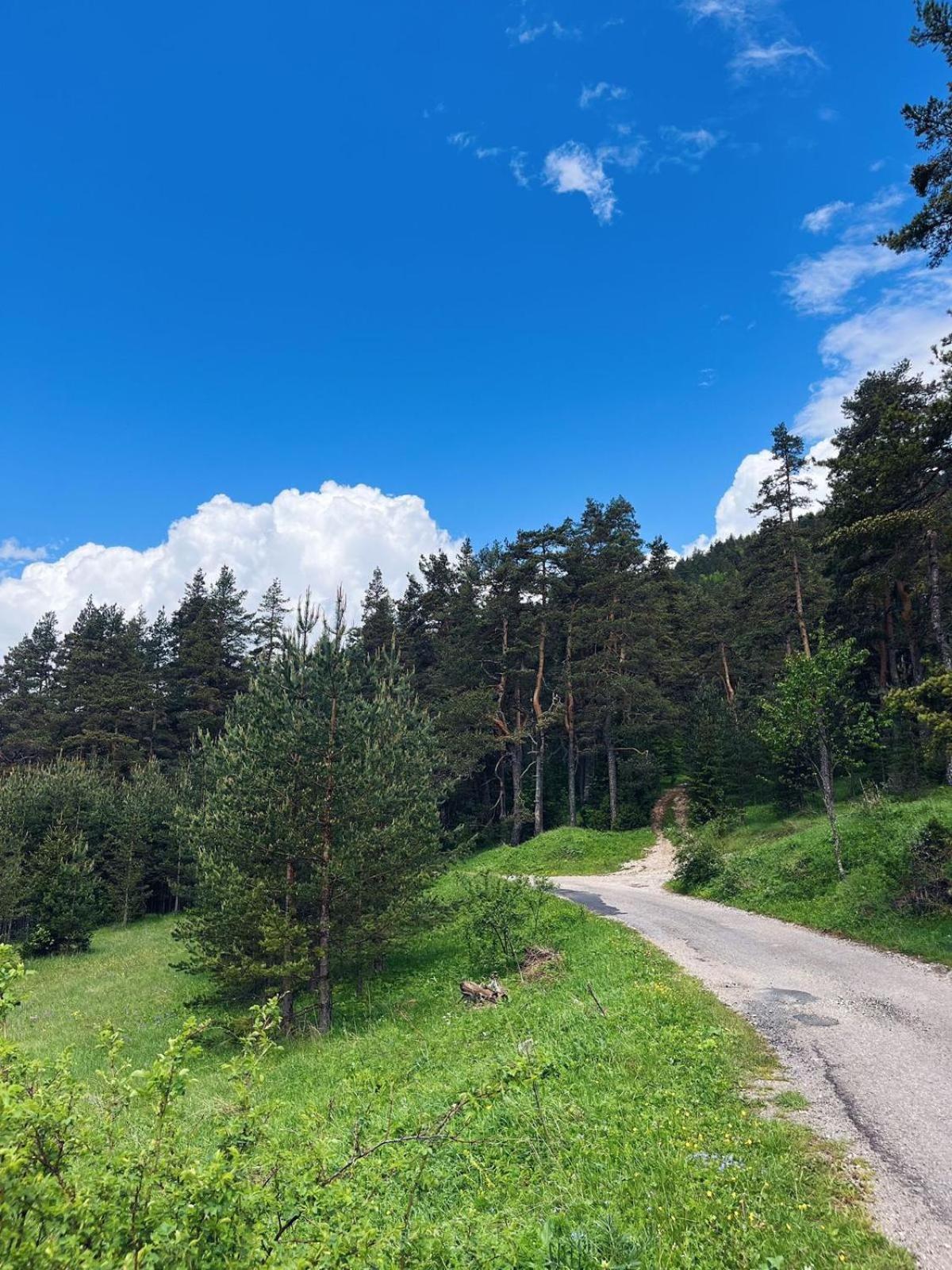 Zminica Lake House Žabljak Zewnętrze zdjęcie