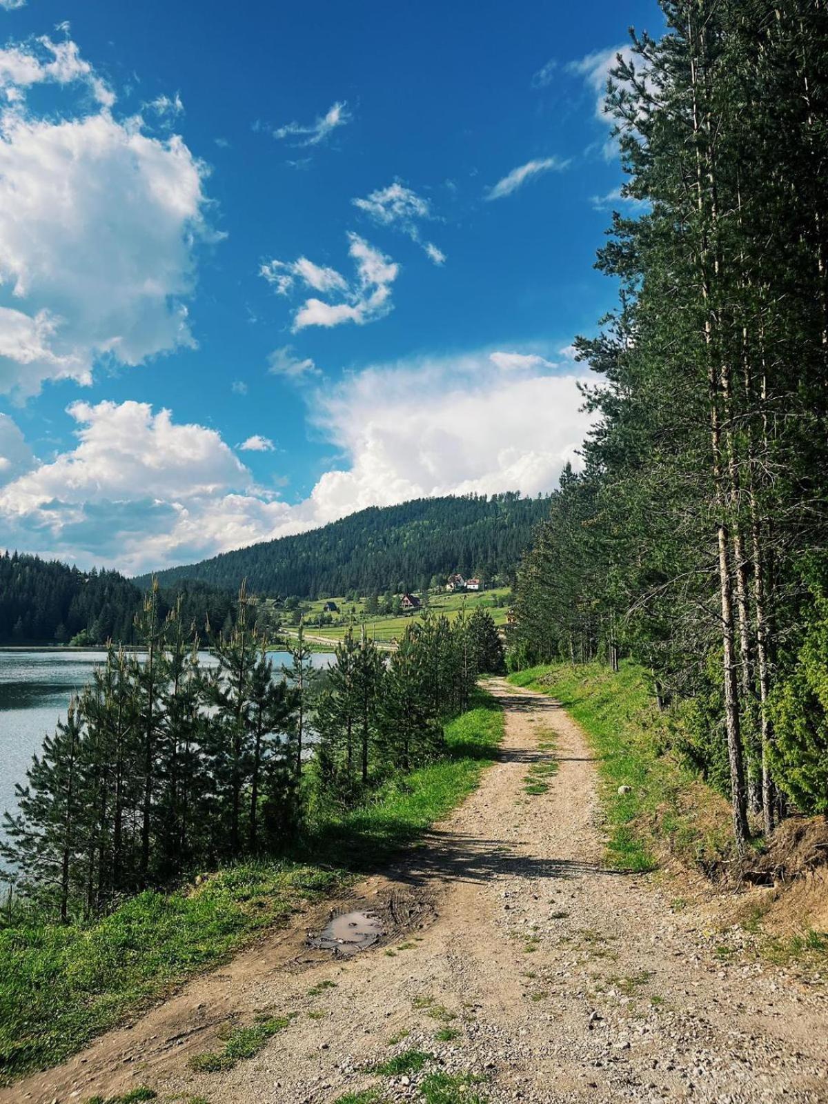 Zminica Lake House Žabljak Zewnętrze zdjęcie